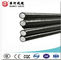 Parallel Cluster Overhead Aerial Cable Hard Drawn Aluminum Or Anneal Copper